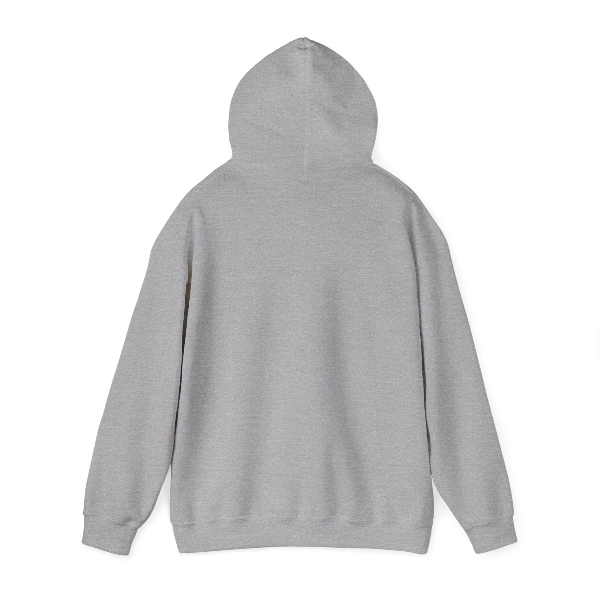 Clarity Hoodie