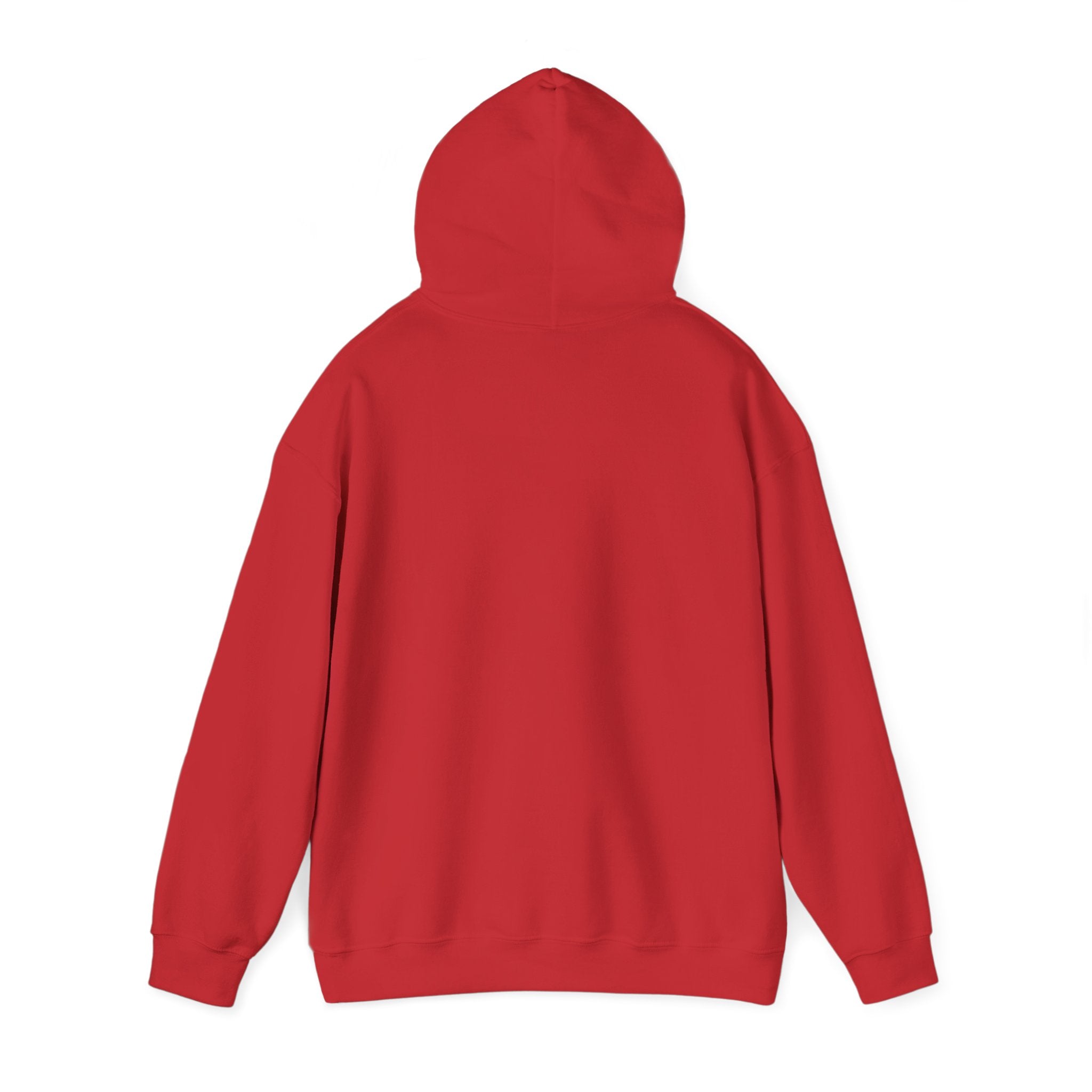 Clarity Hoodie