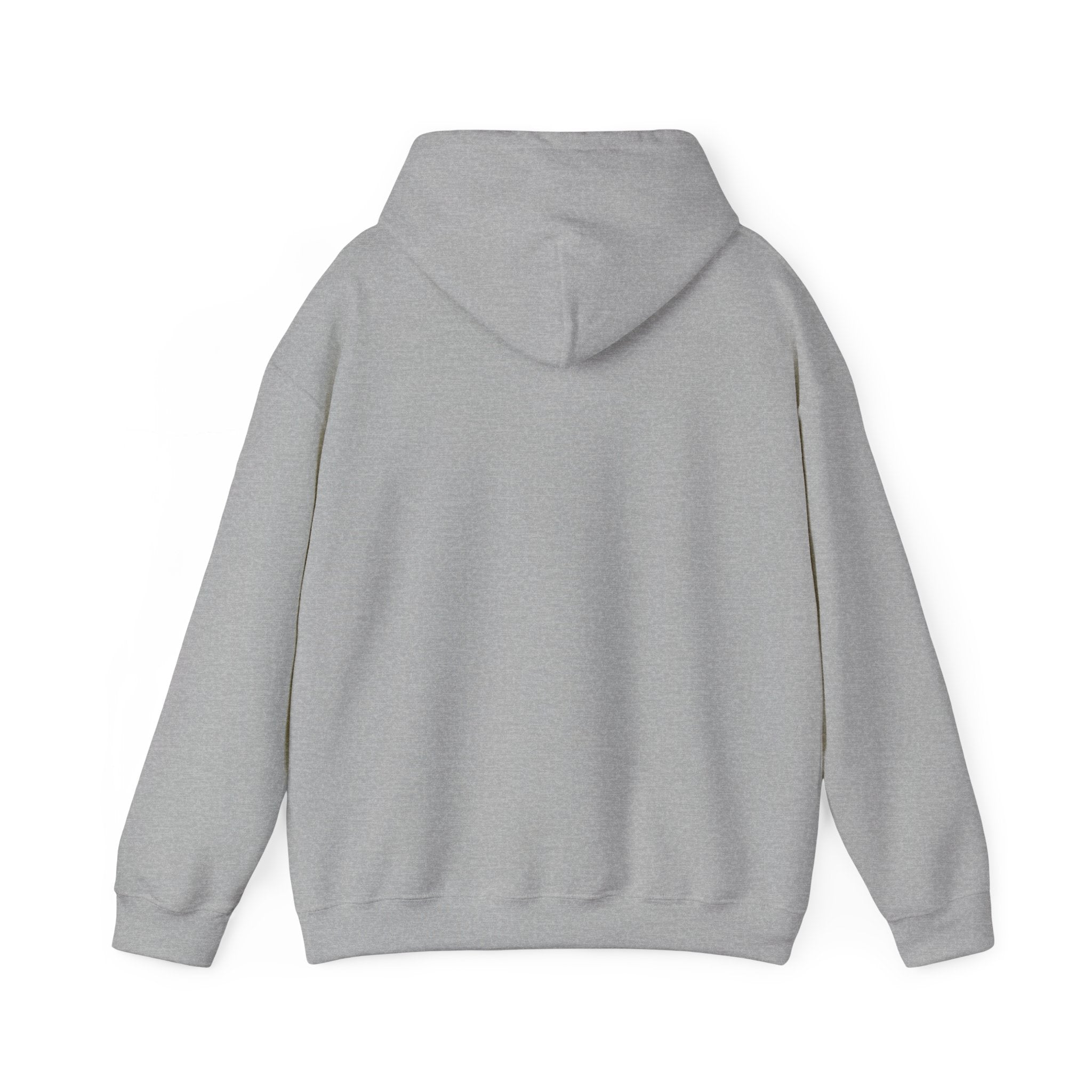 Clarity Hoodie