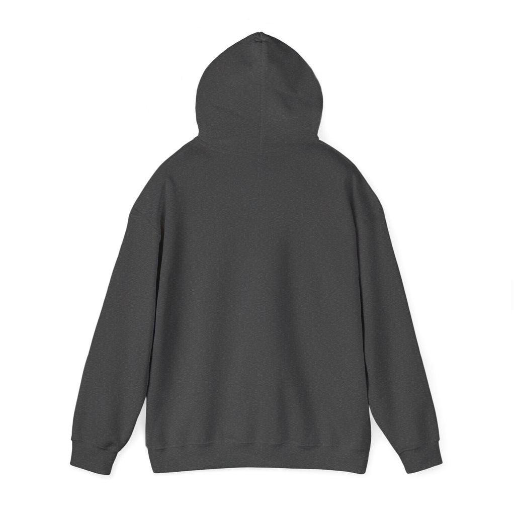 Clarity Hoodie