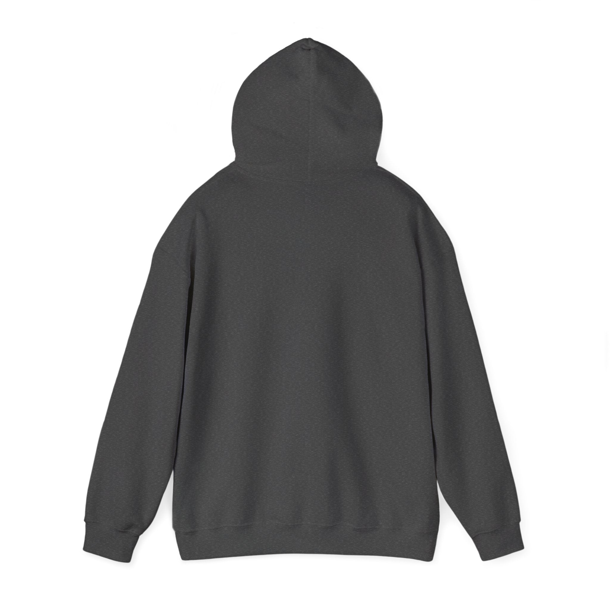 Clarity Hoodie